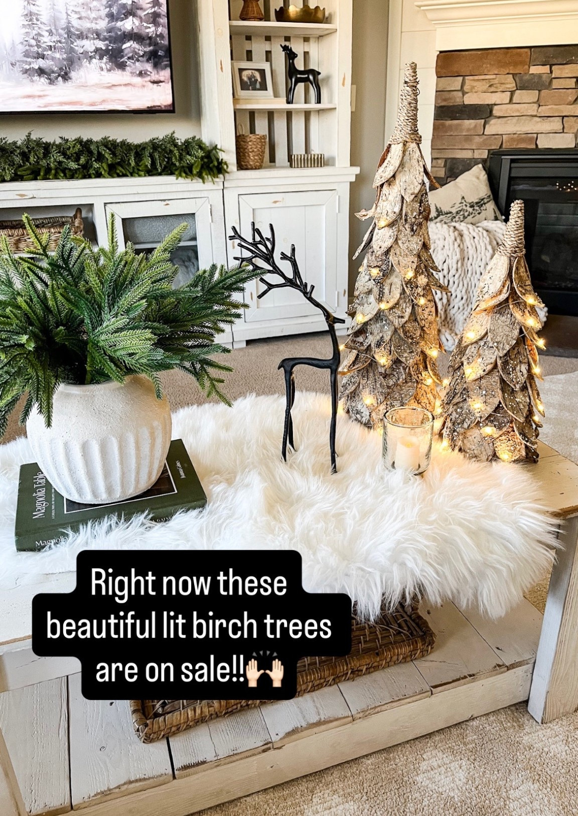 Right now these beautiful lit birch trees are on sale!  Follow @lifeinmyarizonahome on Instagram for more holiday ideas and inspiration  

#LTKHome #LTKSaleAlert #LTKHoliday