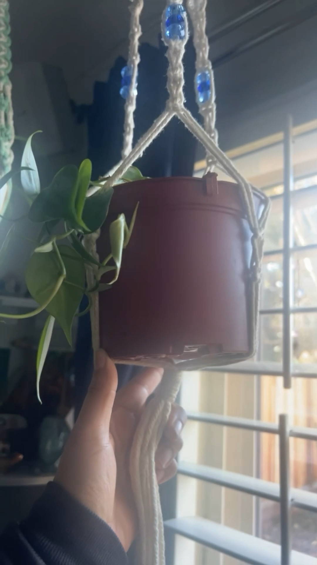 🪬Radiate boho vibes and healing energy with these Sun Catcher and Crystal Macrame Plant Hanger—a perfect blend of style and serenity. 

🌿 Elevate your space with handmade magic from Twisted Crystal! 

✨ Ideal women in their 40s embracing the hippie lifestyle and stay-at-home moms finding strength in plants, crystals, journaling, and therapy.

#BohoHealing #CrystalMagic #HandmadeHome #EtsyFinds #SoulfulLiving #BohoHealing #CrystalMagic #HandmadeHome
#EtsyFinds #SoulfulLiving

#LTKhome #LTKGiftGuide #LTKVideo