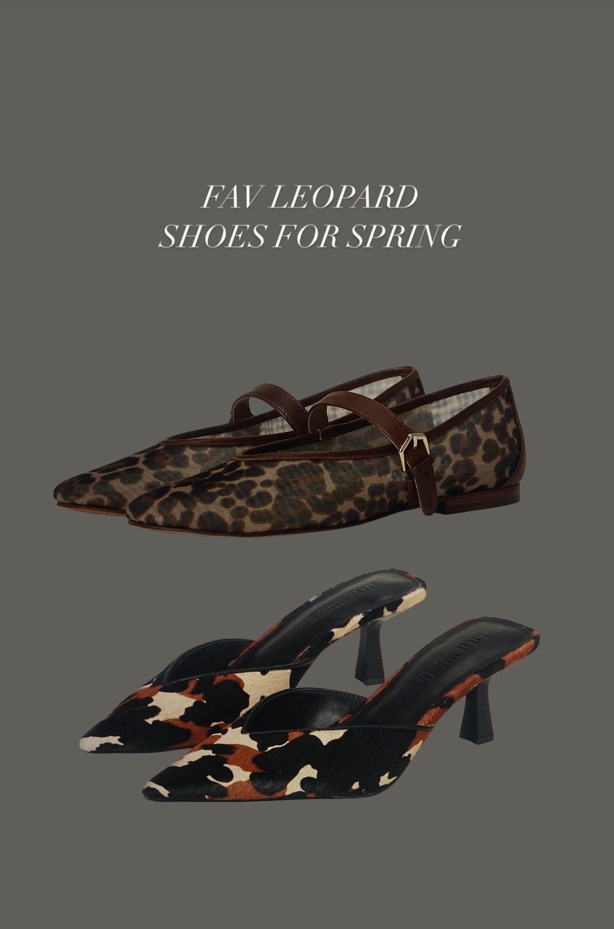 leopard print shoes for spring | ballet flats, kitten heels | dolce vita, Steve Madden, Zappos 

#LTKShoeCrush #LTKFindsUnder50 #LTKStyleTip