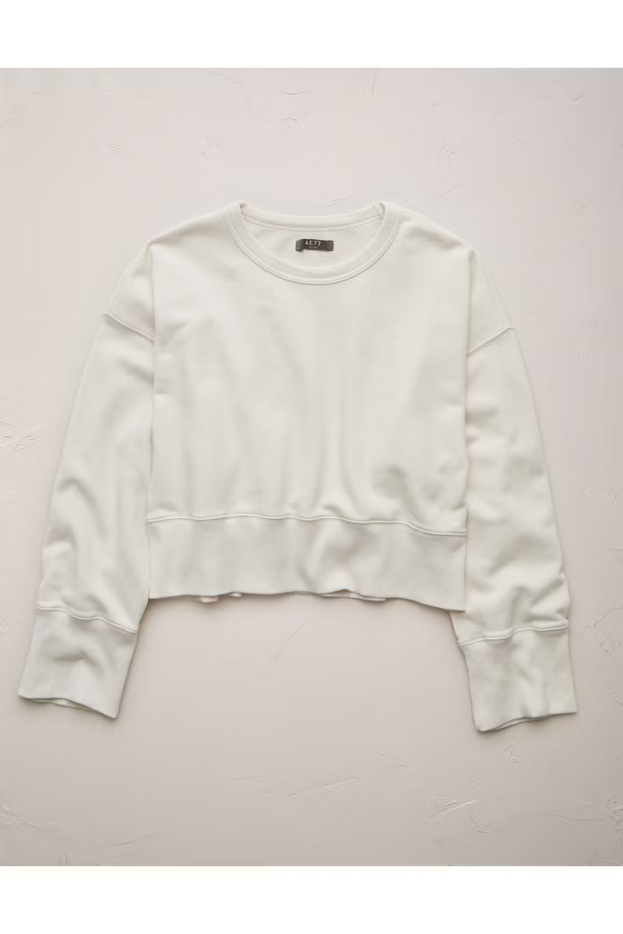 AE77 Premium Relaxed Cropped Sweatshirt NULL Stone M | American Eagle Outfitters (US & CA)