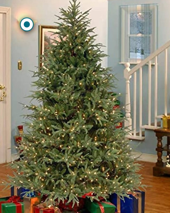 #christmastree

#LTKxPrimeDay #LTKGiftGuide #LTKSaleAlert