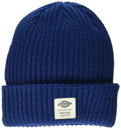 Dickies Men's Cuffed Fisherman Beanie | Amazon (US)