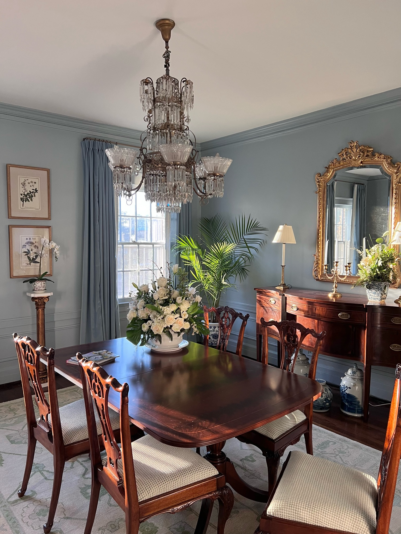 Botanical prints 🩵 

#LTKhome #LTKsalealert #LTKFind