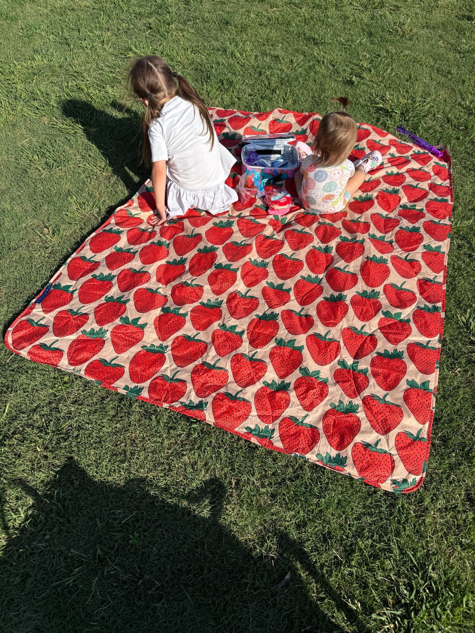 Yes, yes, & yes! The perfect outdoor mat for the summer ☀️🍓 light weight, rolls up easy, easy to clean and couldn’t look any cuter! 

#LTKHome #LTKFamily #LTKKids