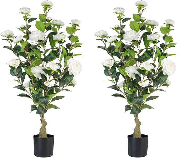 Artificial Camellia Tree 2 Pack, 3FT Faux Camellia Plant in Pot, 36 inch Fake Potted Camellia Flo... | Amazon (US)