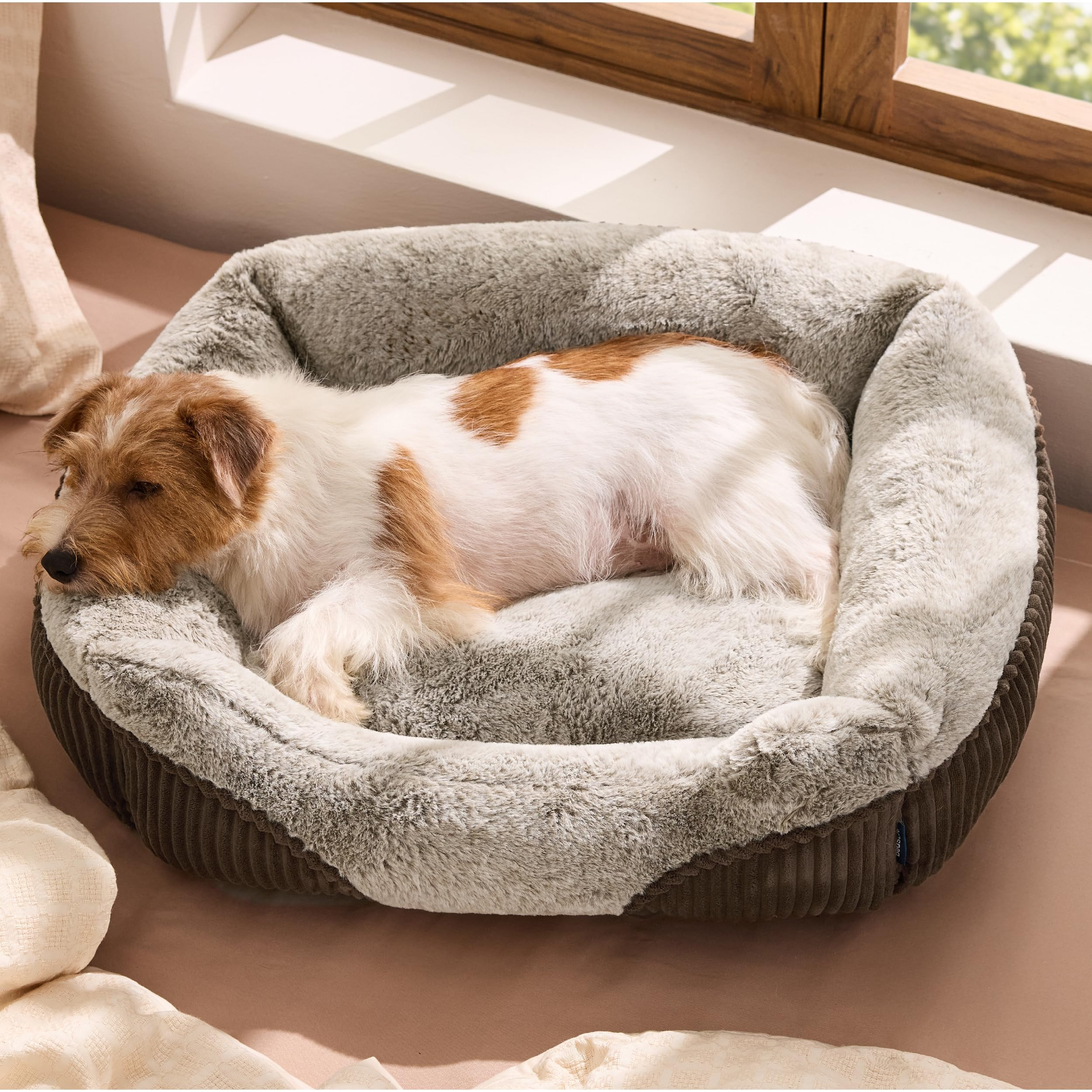 Bedsure Washable Dog Bed Small Medium Size Dog - Rectangle Fluffy Plush Pet Bed Puppy Bed, Comfy ... | Amazon (US)