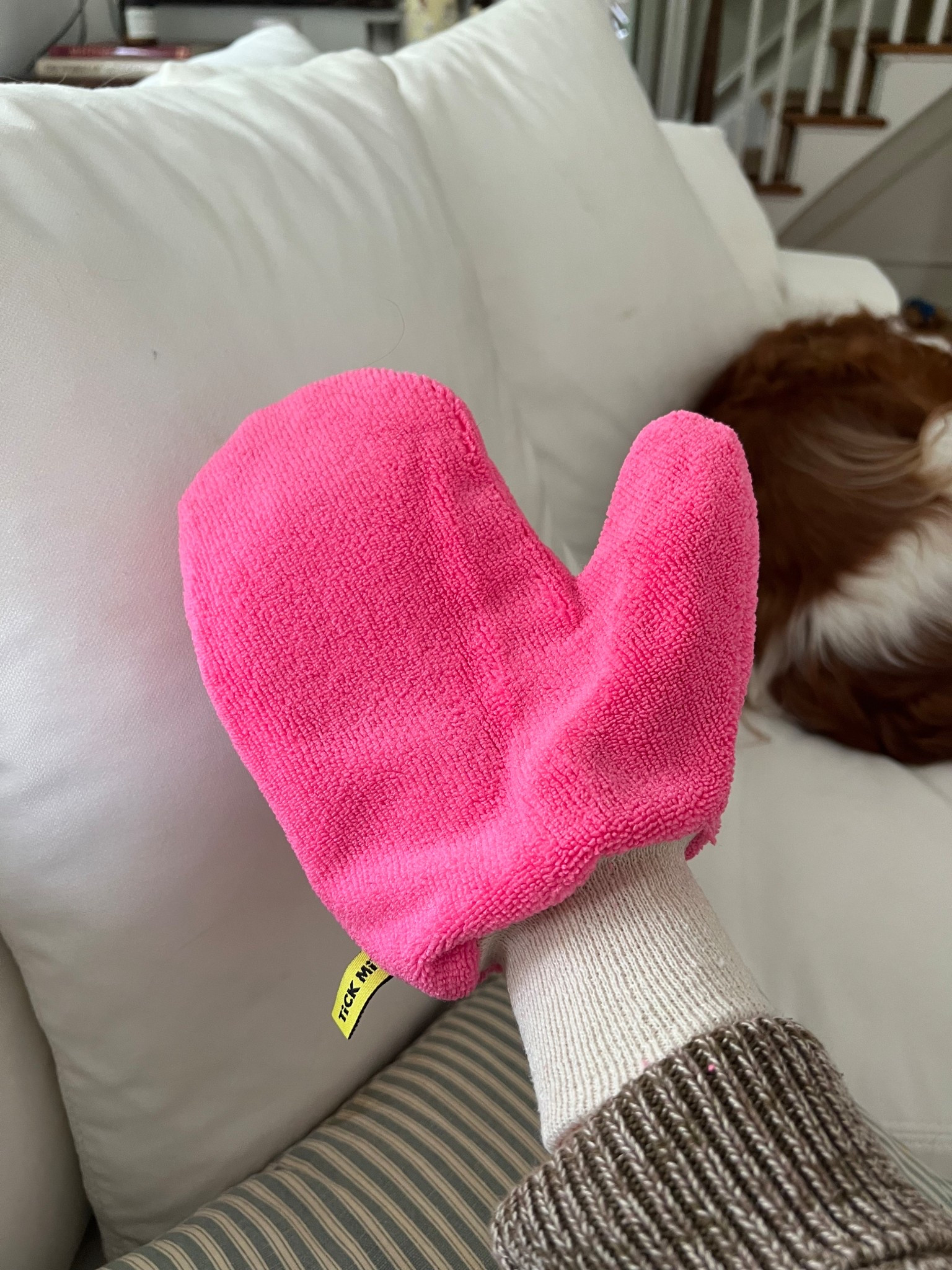 The tick mitt! We’ve had for a few years now, it does a great job of getting ticks off of Finny, even the teeny tiny ones! 

#LTKSeasonal