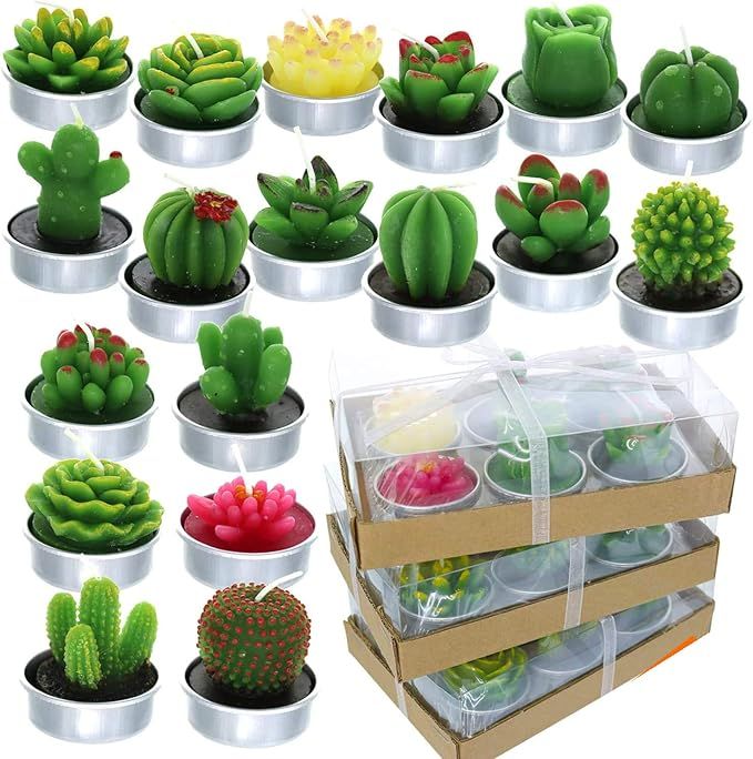 Amazon.com: GIFTEXPRESS 18 Pcs Succulent Cactus Candles No Repeat Style, Delicate Smokeless Scent... | Amazon (US)