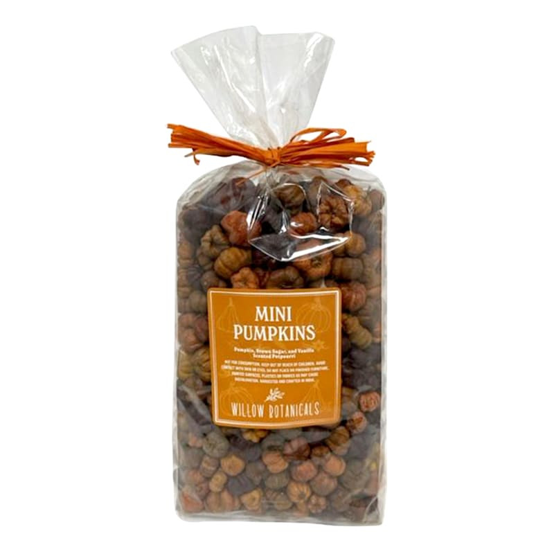 Scented Dried Mini Pumpkins | At Home