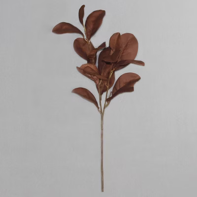 Magnolia Stem Brown - Threshold™ | Target