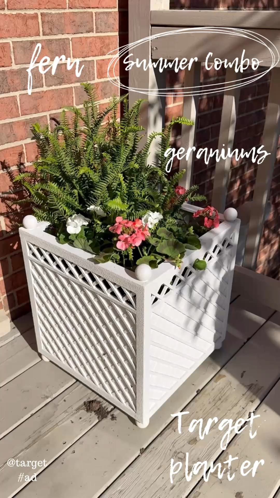 @target #ad the cutest planter I ever did see!! Wow so beautiful, loving this on our back porch. We need to redo our back porch but while awaiting to, these planters make the entrance area so inviting and beautiful! Love the lattice design and cube shape. I planted real fern and geraniums in them. Obsessed! 😍

#LTKHome #ltksummer

#LTKSeasonal