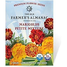The Old Farmer's Almanac Marigold Seeds (Petite Mixture) - Approx 200 Flower Seeds - Premium Non-... | Amazon (US)