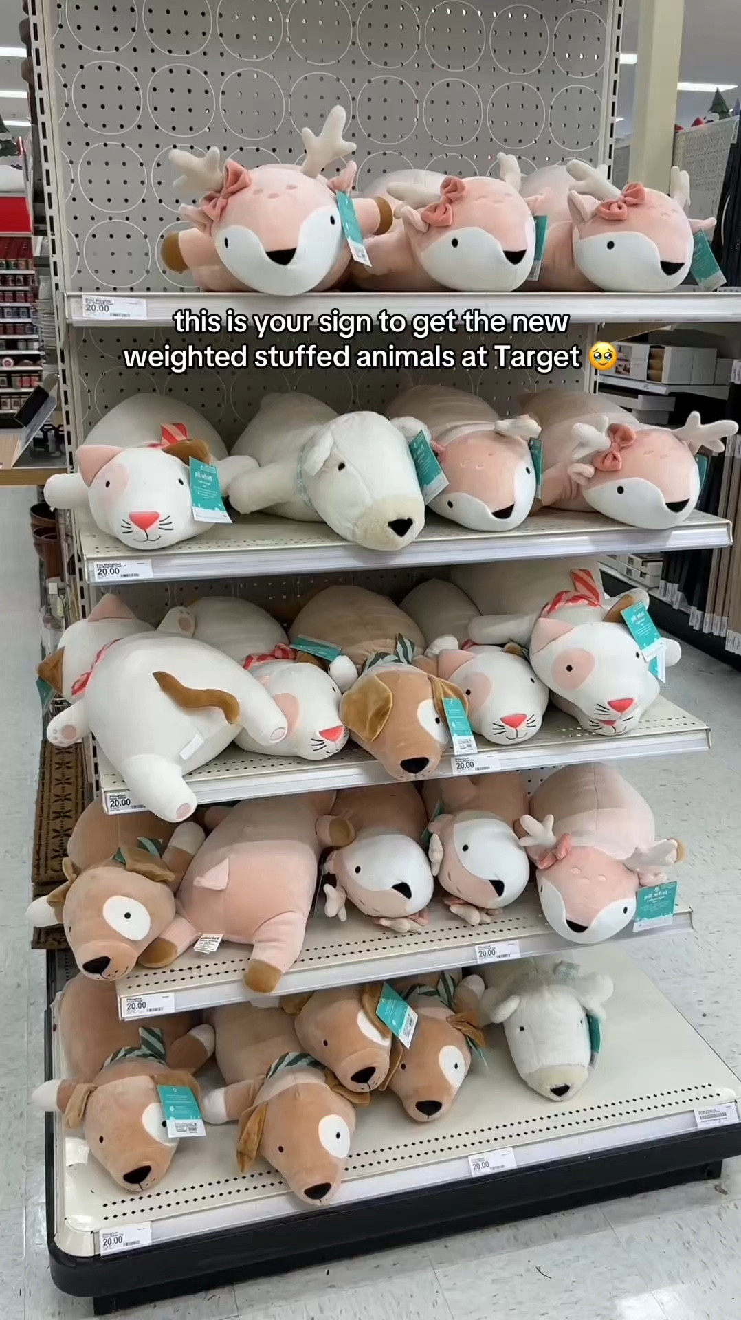 New Target weighted stuffed animals!! These are so cute 🥹 

#target #stuffedanimal #giftguide #giftidea #toy #home #roomdecor #plushtoy

#LTKGiftGuide #LTKWatchNow #LTKHome