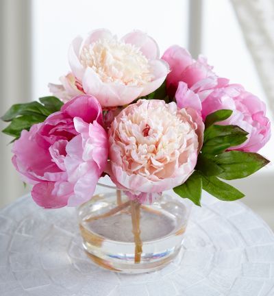 Peony in Tall Glass Vase | Soft Surroundings