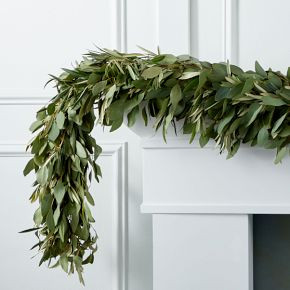 Silver Dollar Eucalyptus & Olive Garland | West Elm (US)