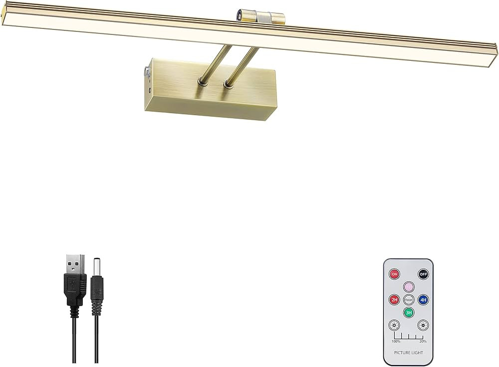 FUNCHDAY Picture Light,5000mAh Battery Operated Picture Light for Wall,Wireless Remote Painting L... | Amazon (US)