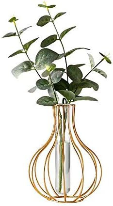 TOBENO Nordic Simple Golden Glass Vase Iron Art Vase Hydroponic Plant Flower Vase Glass Test Tube... | Amazon (US)