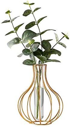 TOBENO Nordic Simple Golden Glass Vase Iron Art Vase Hydroponic Plant Flower Vase Glass Test Tube... | Amazon (US)