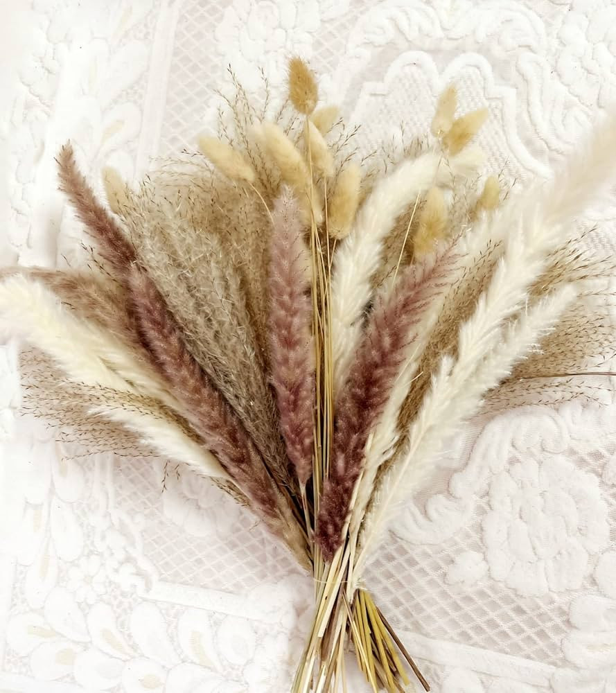 Natural Dried Pampas Grass, 60Pcs Pampas Grass Decor, Pompous Reed Grass Plants Boho Decor Weddin... | Amazon (US)