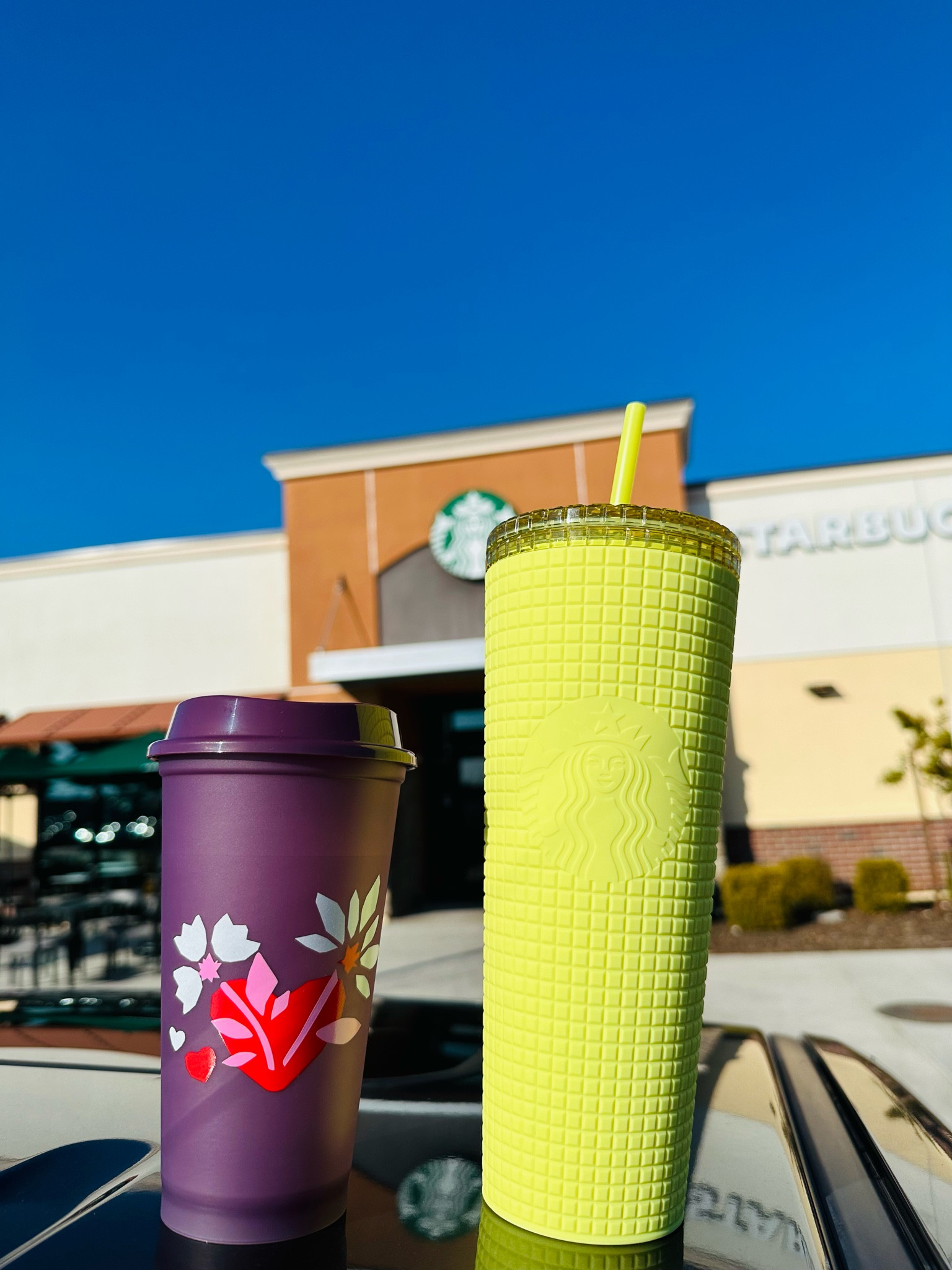 Starbucks 2023 Winter Meadow Yellow Soft Touch Grid 24 Oz Venti Cold Cup  Tumbler