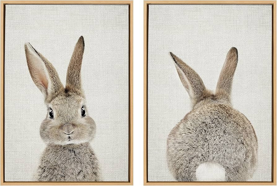 Kate and Laurel Sylvie Bunny Portrait on Linen and Bunny Tail on Linen Framed Canvas Wall Art Set... | Amazon (US)
