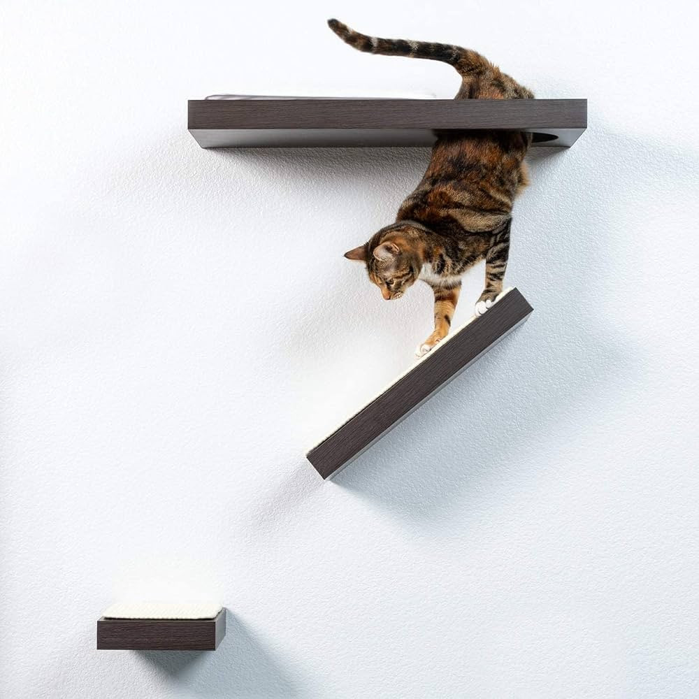 PetFusion Cat Activity Wall Shelves (Available as a 3-Piece Set or Individual Shelf.) Sisal Surfa... | Amazon (US)