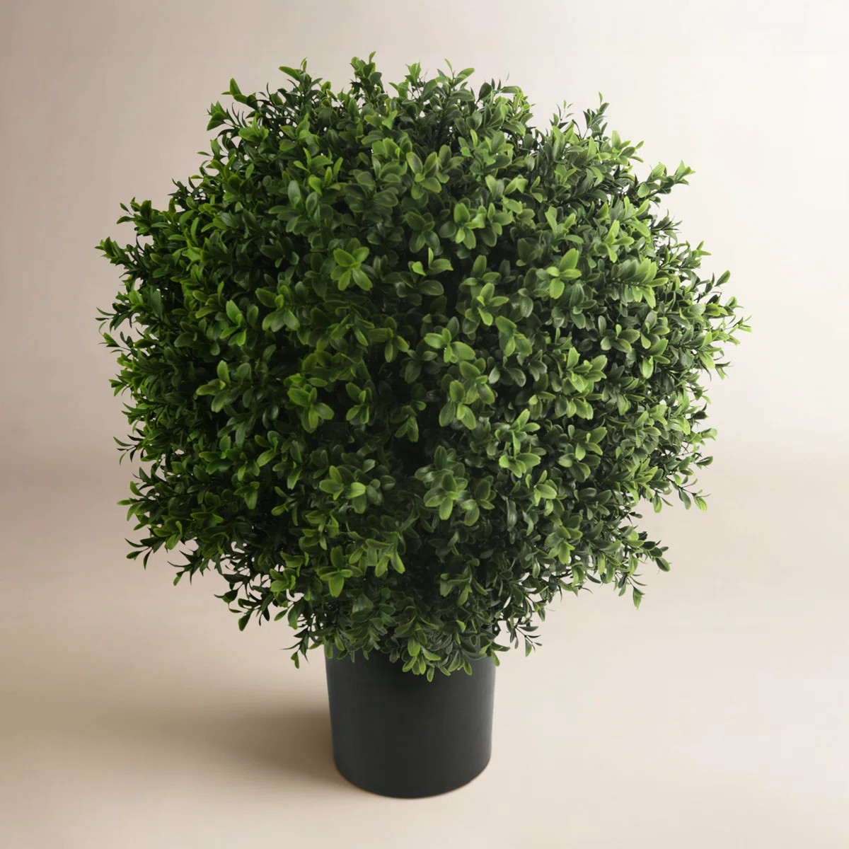 Ball-Shaped Boxwood Topiary In Plastic Liner | Perigold
