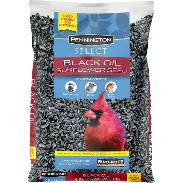 Pennington Select Black Oil Sunflower Seed Wild Bird Feed, 10 lb. Bag | Walmart (US)
