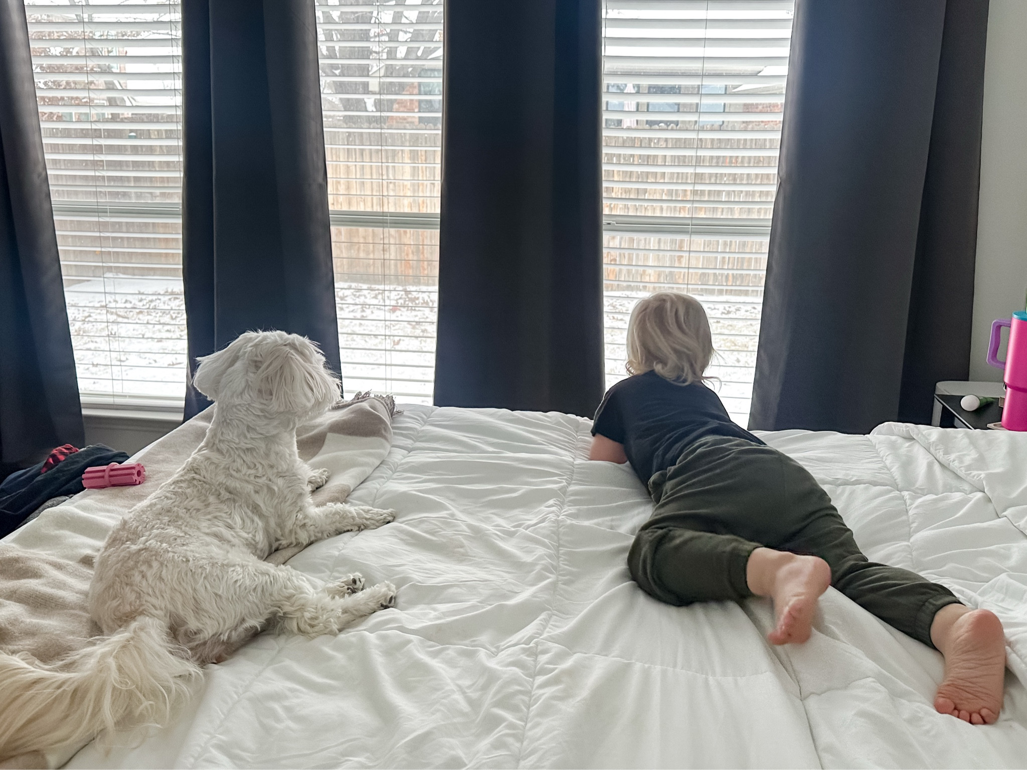 Tis the season of new milestones and fun life changes! 

#LTKBaby #LTKHome #LTKFamily