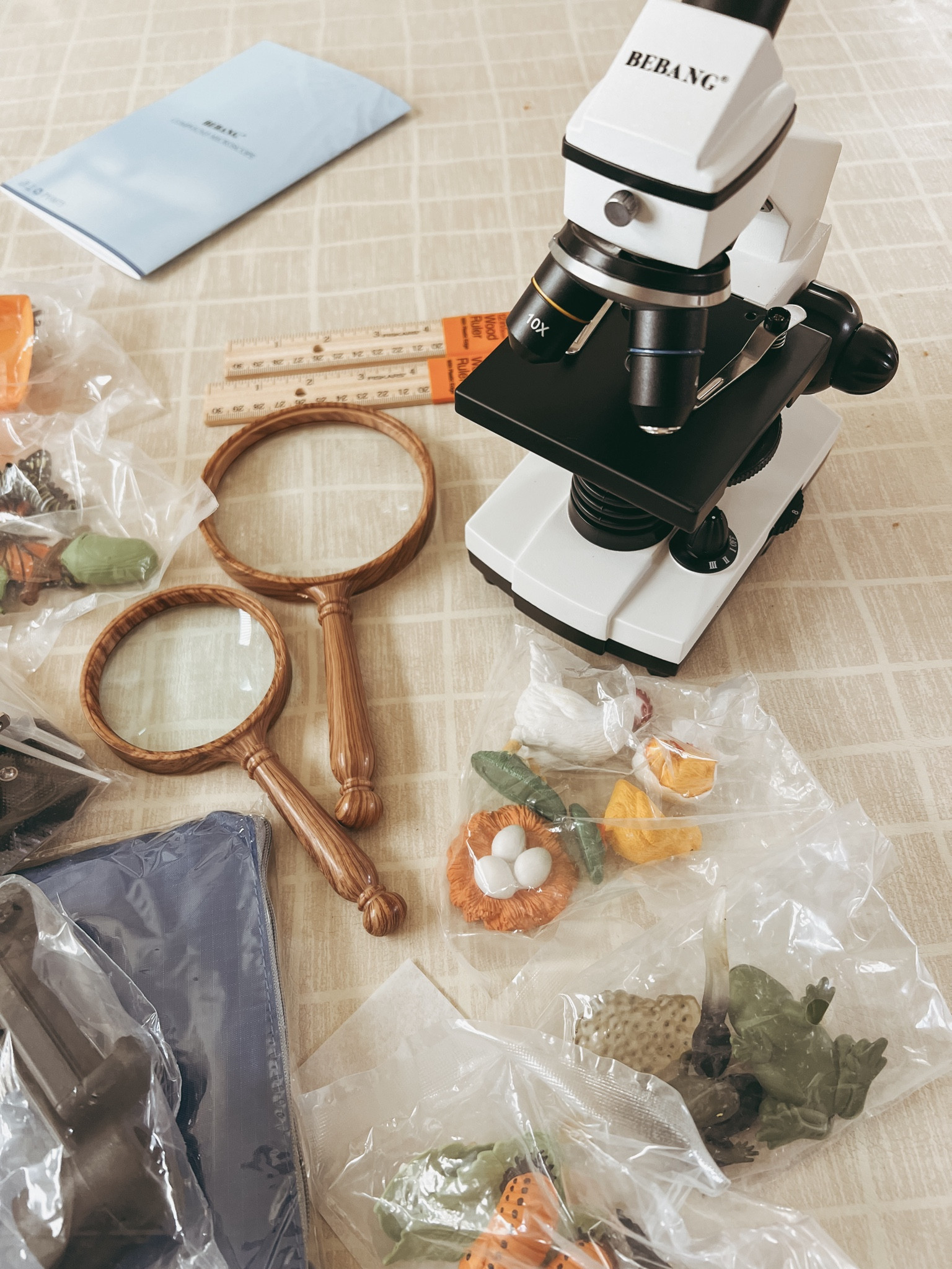 Recent Amazon orders for our homeschool 🔬🔎🦋