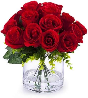 Enova Home Silk Open Rose Flower Arrangement in Clear Glass Vase with Faux Water (Red) | Amazon (US)