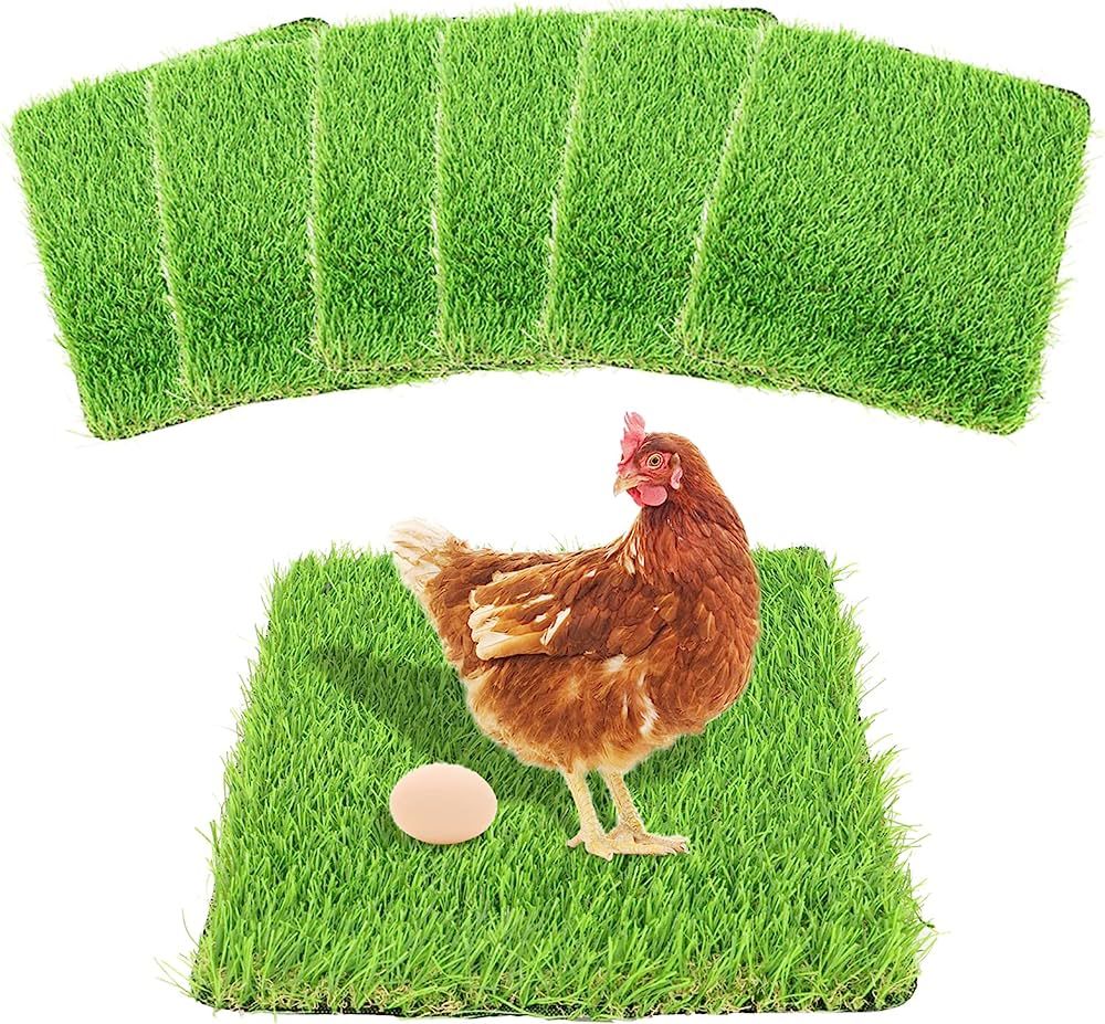 PetierWeit Chicken Nesting Pads 6Pack Nesting Box Pads 12”x12” Artificial Grass Washable Chic... | Amazon (US)