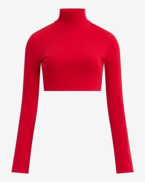 Body Contour Stretch Cotton Turtleneck Long Sleeve Cropped Tee | Express