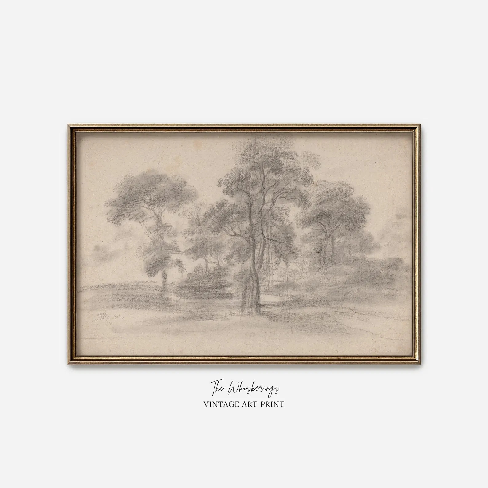 Vintage Trees Sketch Art Print: Neutral Wall Art, Modern Farmhouse Decor | Etsy (Global)