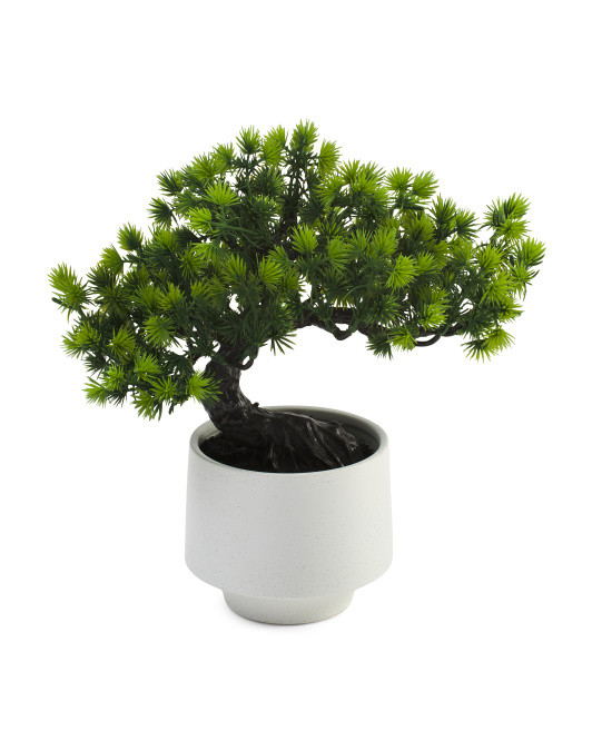 9.5in Faux Bonsai In Pot | Plants & Planters | Marshalls | Marshalls