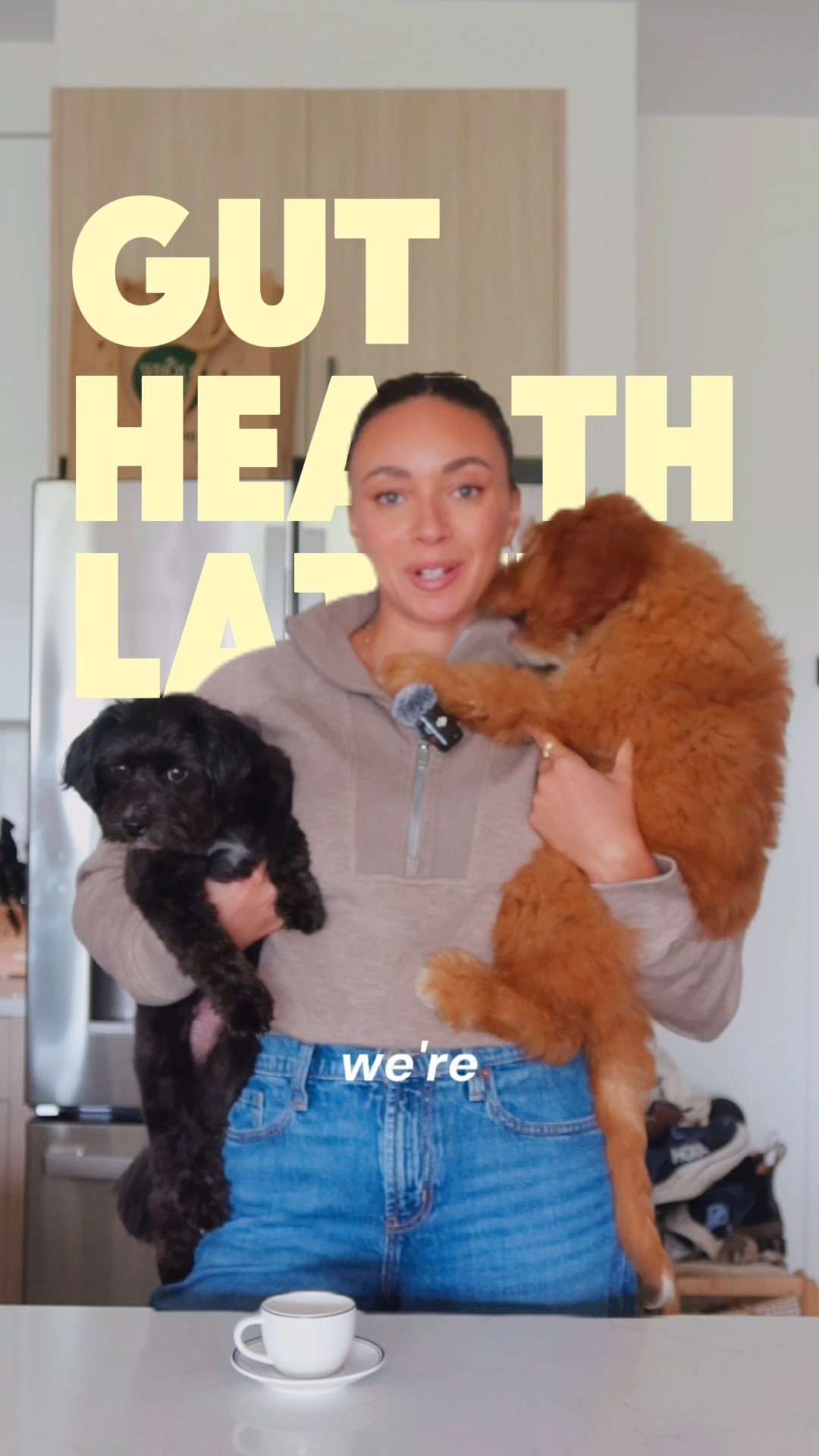 Gut health latte for the dogs!