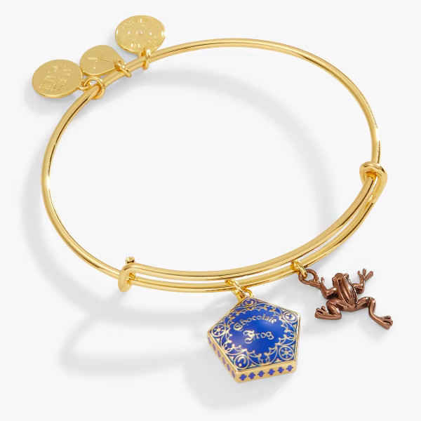 Harry Potter™ Chocolate Frog Two-Charm Bangle – Alex and Ani | Alex and Ani