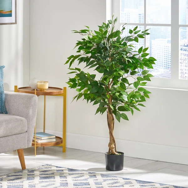 Faux Ficus Tree in Pot | Wayfair North America
