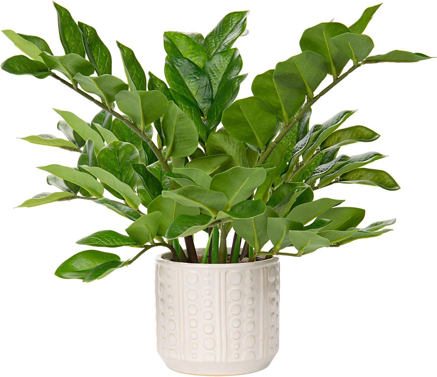 Briful Faux Plants Indoor 17" Artificial ZZ Plants in Ceramic Pot Fake Potted Zamioculcas Silk Pl... | Amazon (US)