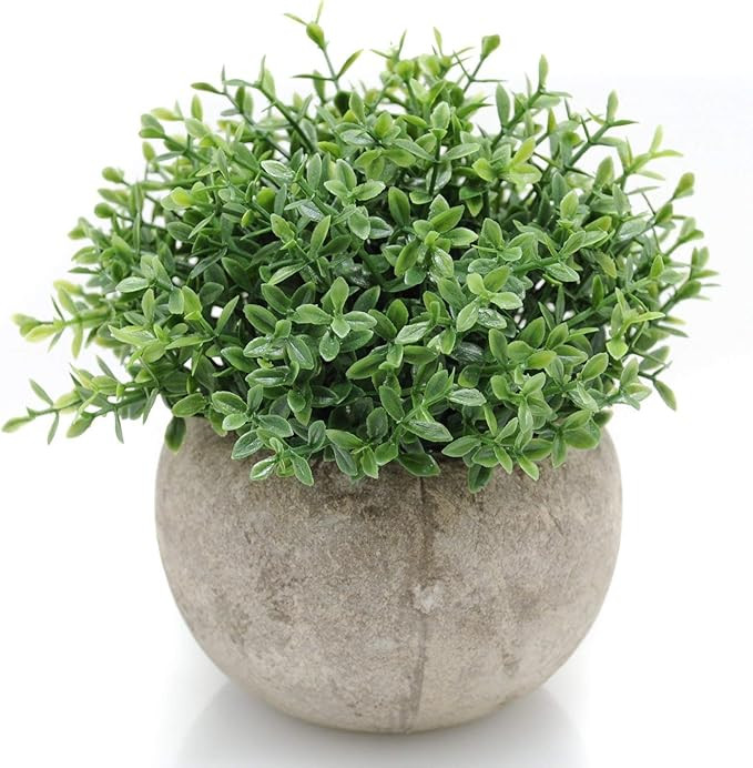Velener Mini Plastic Artificial Plants Benn Grass in Pot for Home Decor (Green) | Amazon (US)