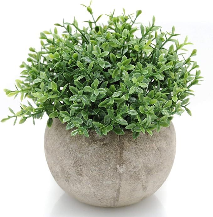 Velener Mini Plastic Artificial Plants Benn Grass in Pot for Home Decor (Green) | Amazon (US)