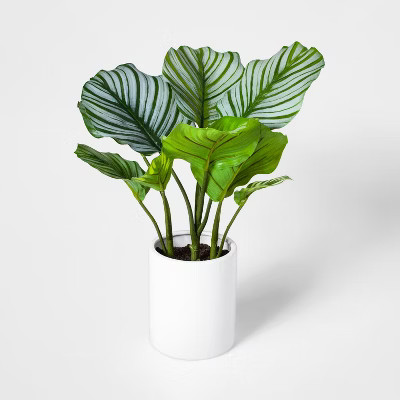 19" x 14" Artificial Orbit Peacock Plant In Pot Green/White - Project 62™ | Target