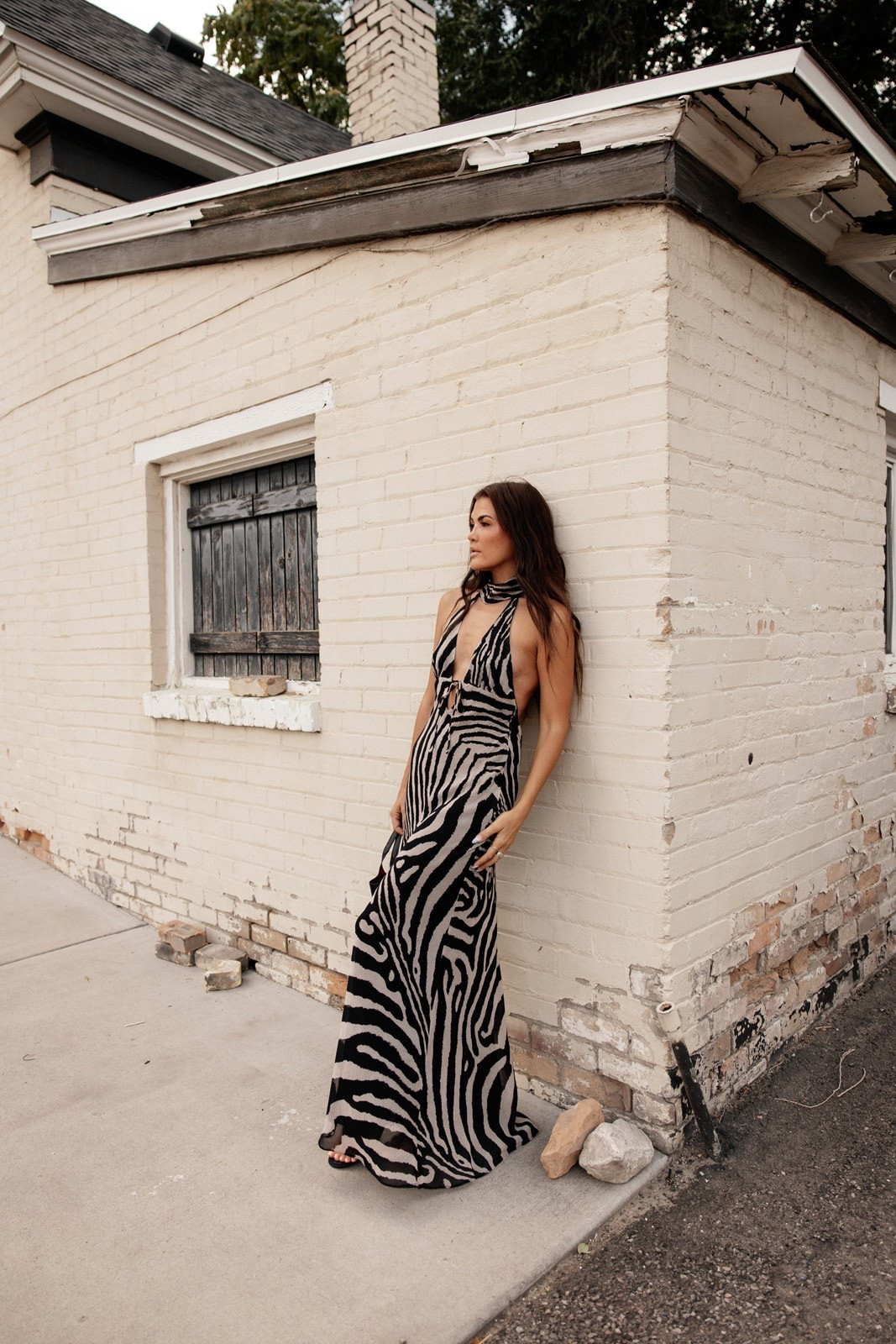 Zara Zebra Dress

#LTKootd