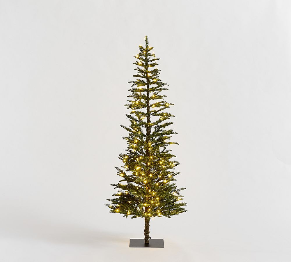 Lit Faux Pine Trees | Pottery Barn (US)