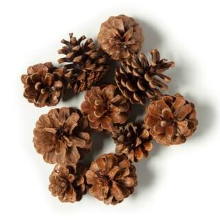 Pinecone Bag by Ashland® | Michaels Stores