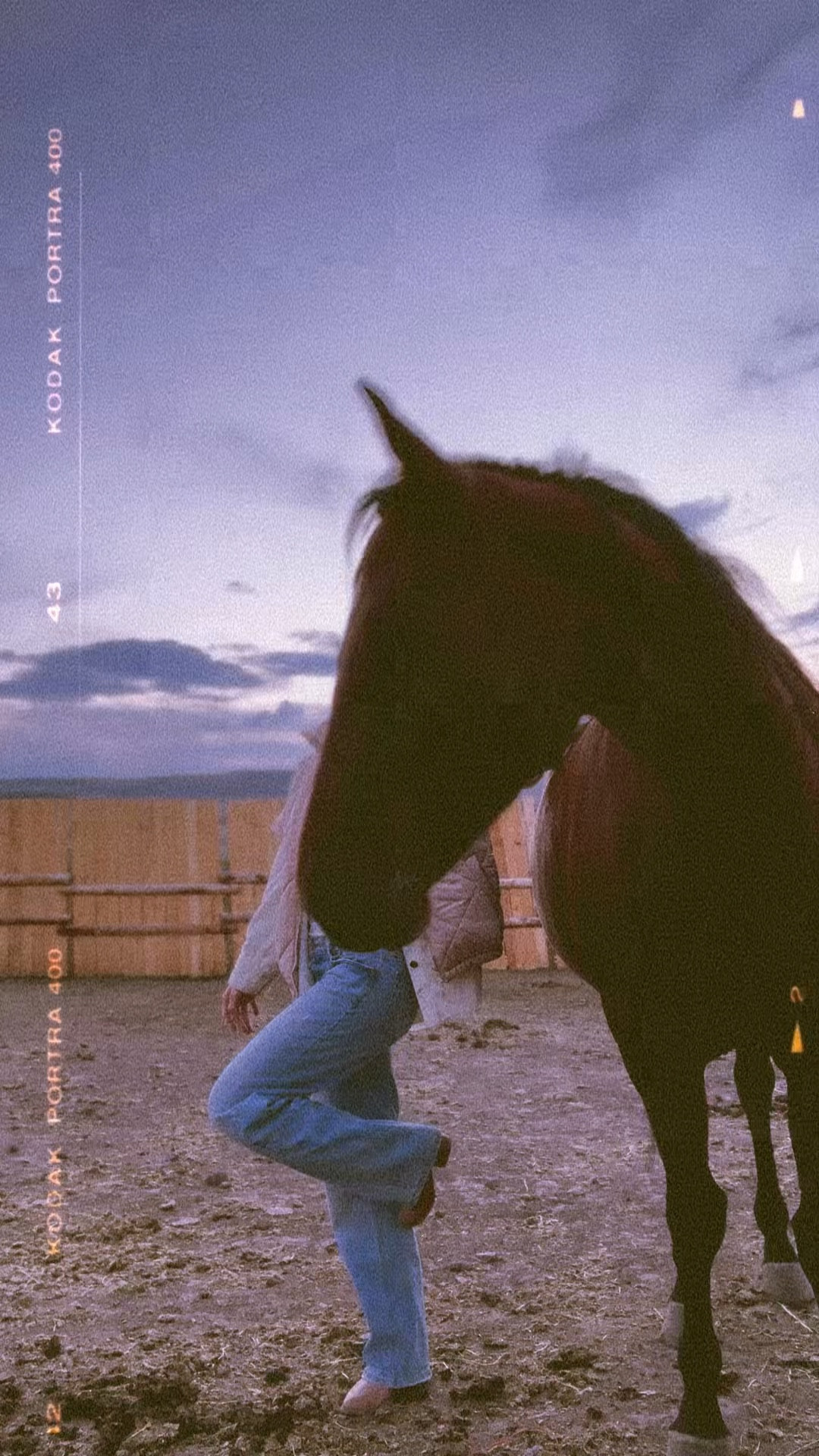 A girls real best friend #ltkwestern 

#LTKWorkwear #LTKStyleTip #LTKFindsUnder100