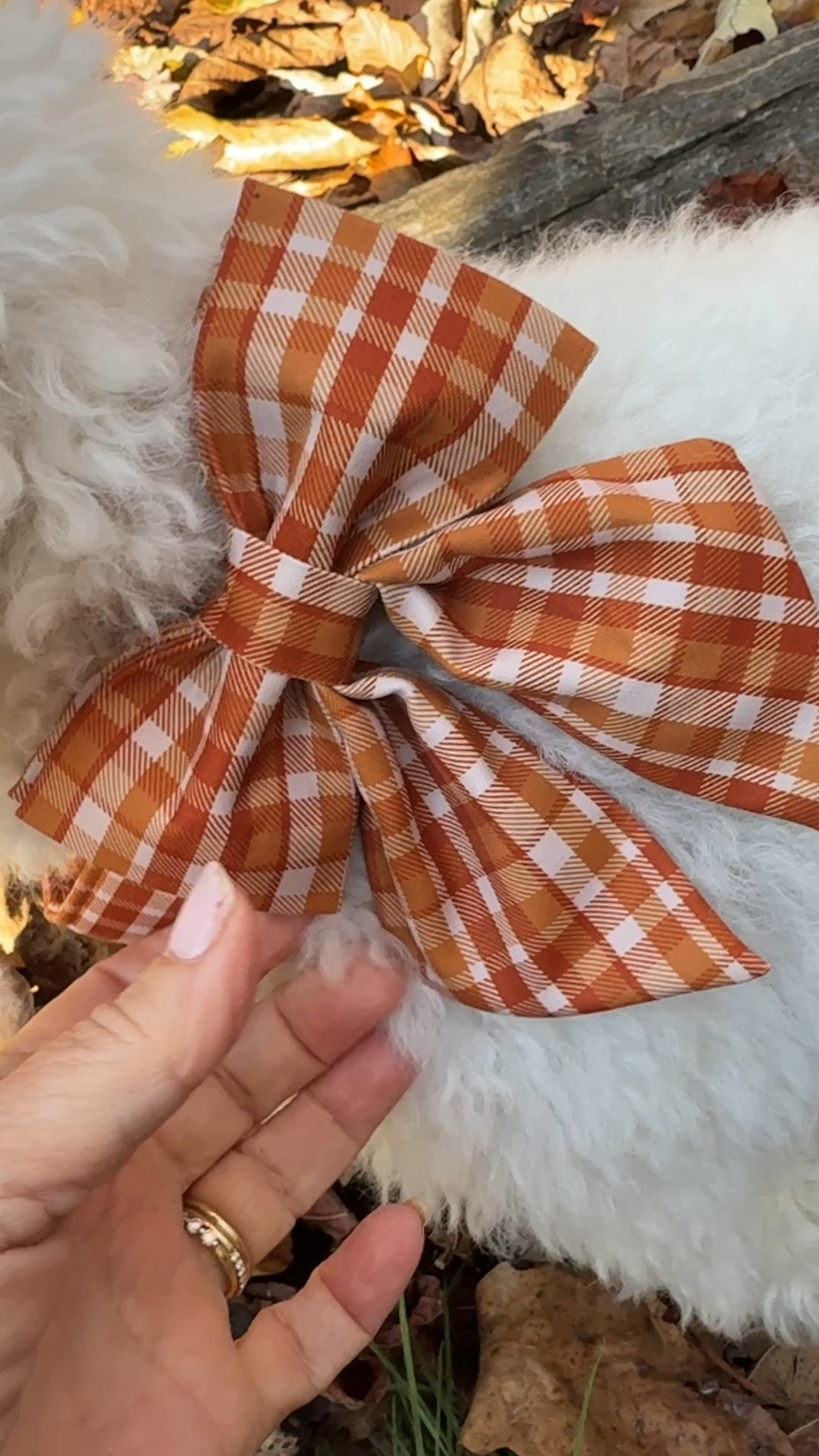 Plaid dog collar with detachable bow!
Perfect for fall and the holidays! 

#LTKPets #LTKTravel #LTKHalloween