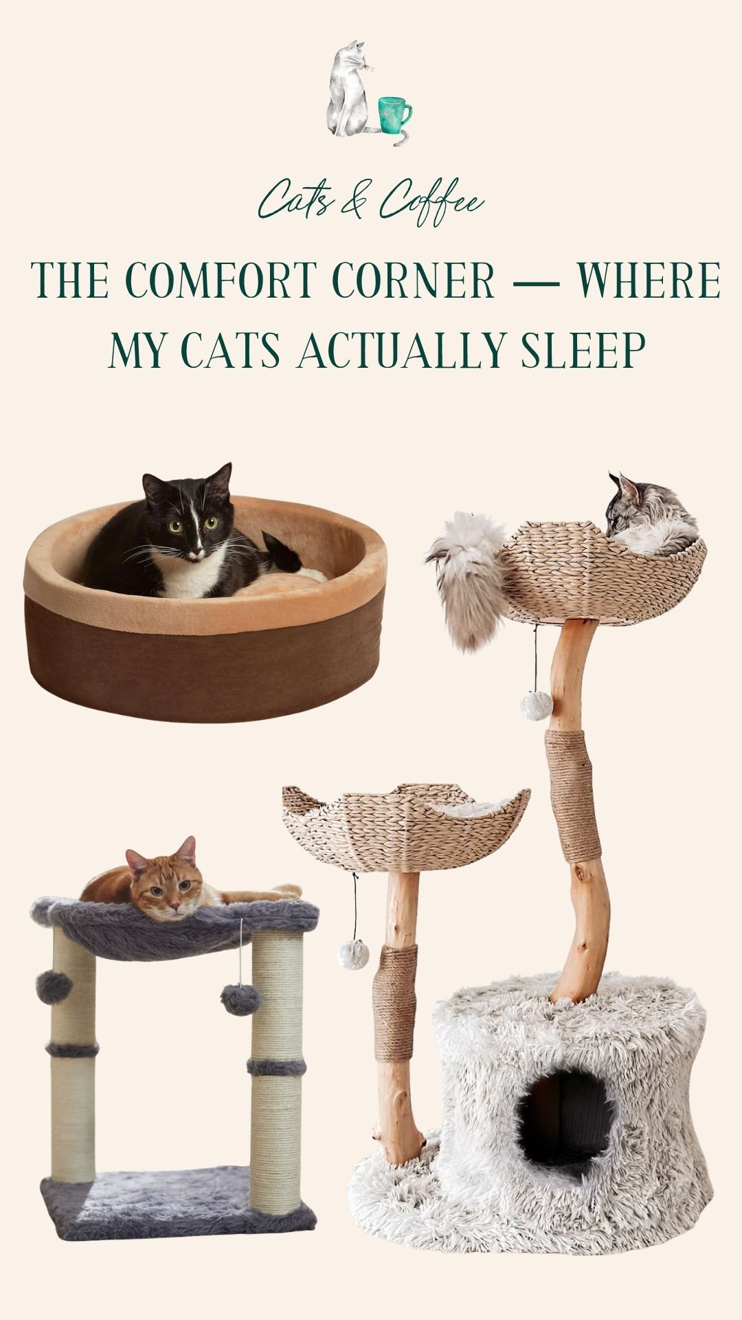 The Comfort Corner — Where My Cats Actually Sleep 💤🐾 I've bought more cat beds than I'd like to admit, and these are the ones that actually get used. My cats' favorite sleeping spots — the tree, the bed, and the hammock that ended the 'will they use it?' debate for good. 

 #LTKdayinmylife #LTKstorytime #LTKHome