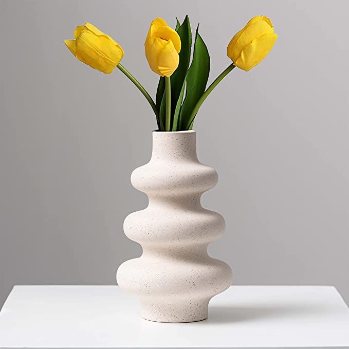 Steviieden Ceramic Vase, Off White Round Vase, Modern Dried Flower Vase,Pampas Flower Vase, Boho ... | Amazon (US)
