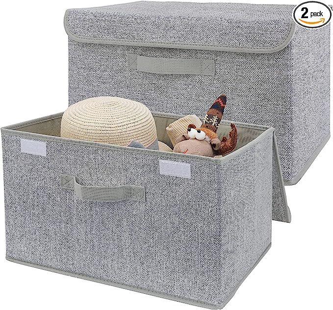 GRANNY SAYS Large Storage Bins with Lids, 2-Pack Canvas Boxes for Storage, Gray Closet Organizers... | Amazon (US)